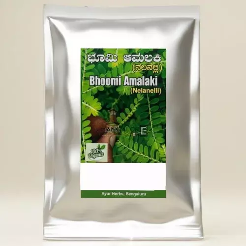 Bhoomi Amla Powder | Nelanelli Herbal Hair and Health Supplement - 50g